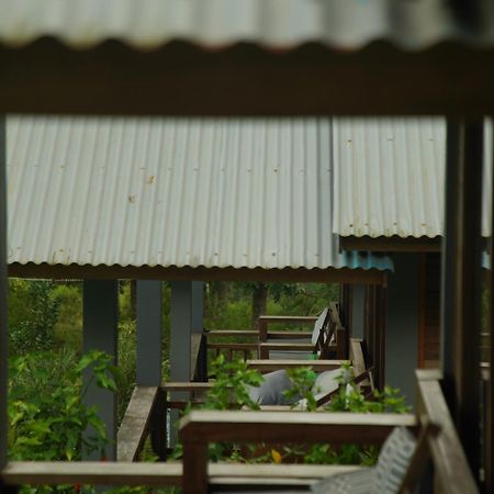 The Geckos Homestay Kelimutu Rum bild