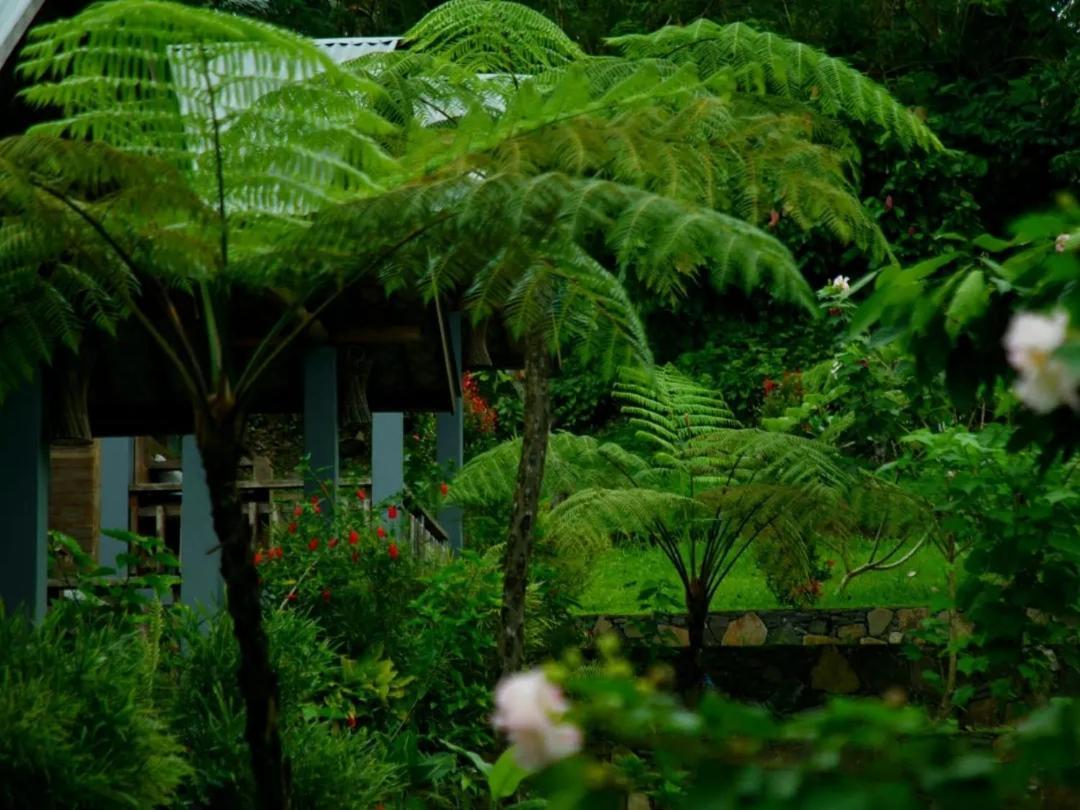 The Geckos Homestay Kelimutu Exteriör bild