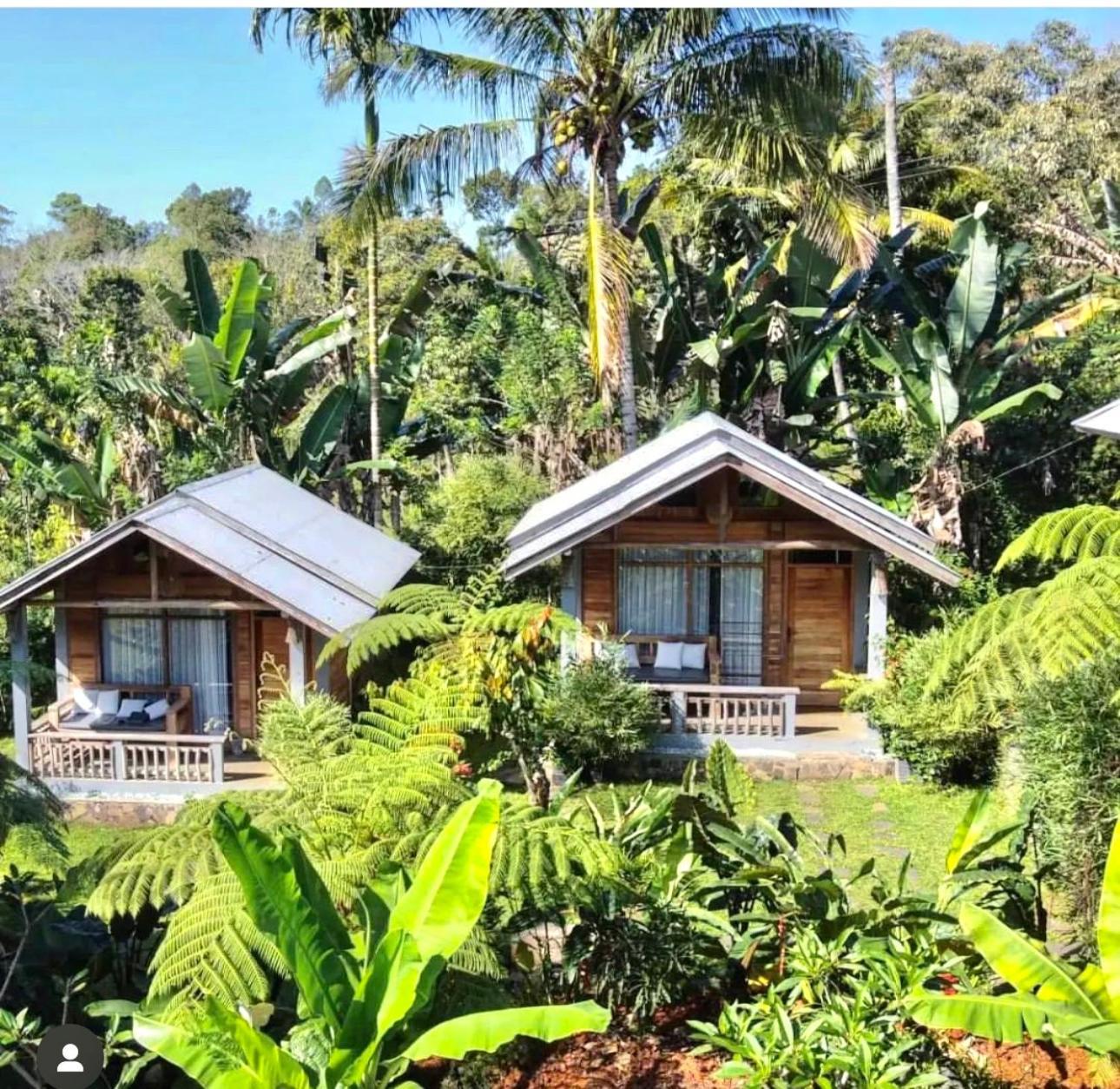 The Geckos Homestay Kelimutu Exteriör bild